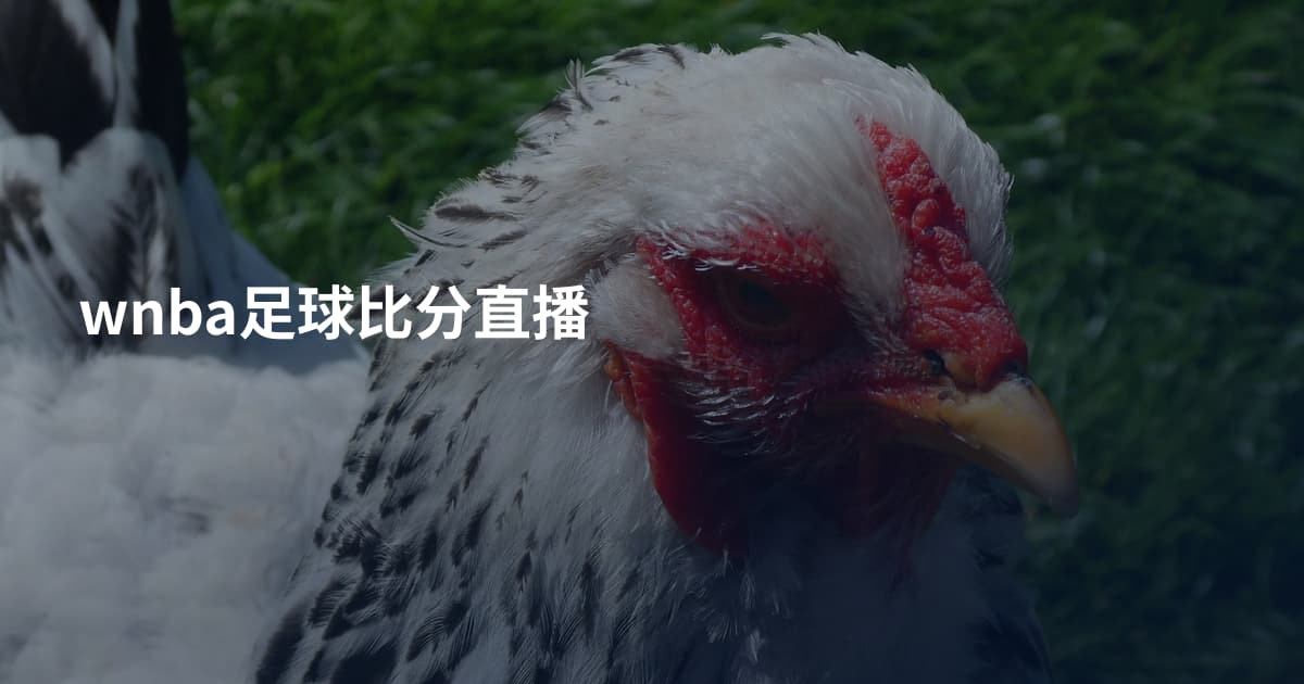 wnba足球比分直播