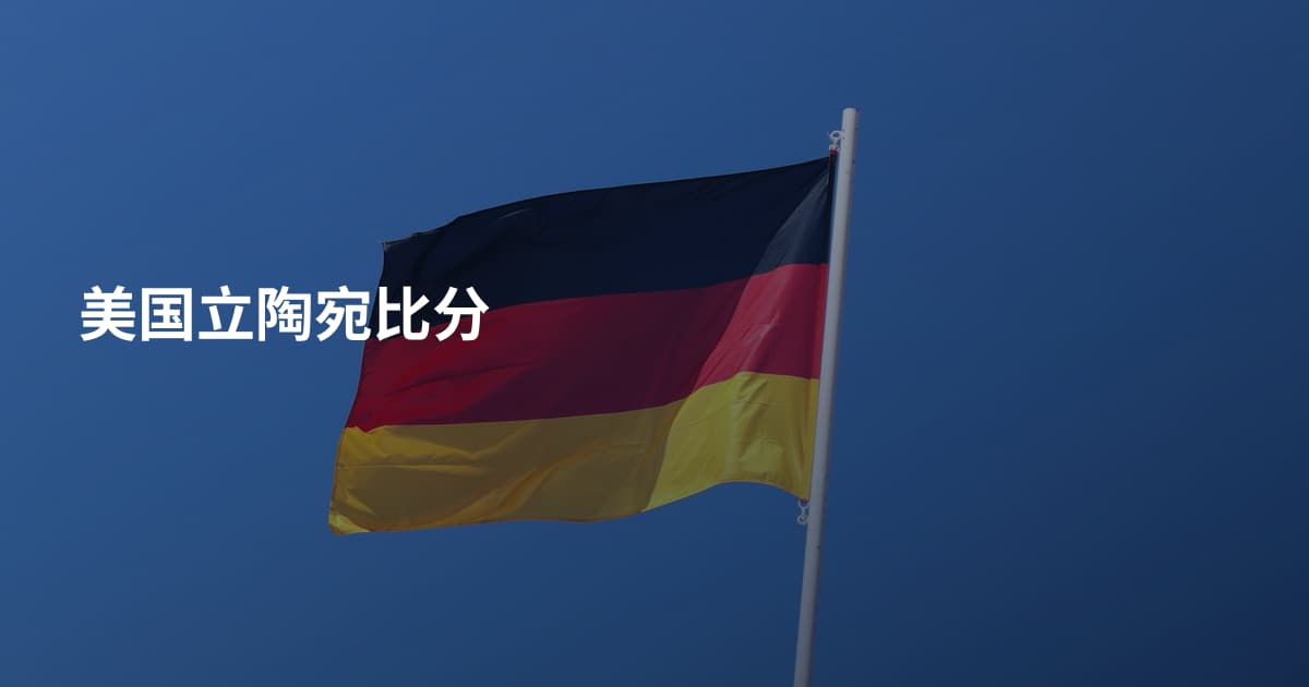 美国立陶宛比分