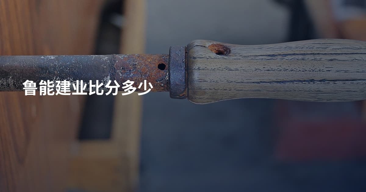 鲁能建业比分多少