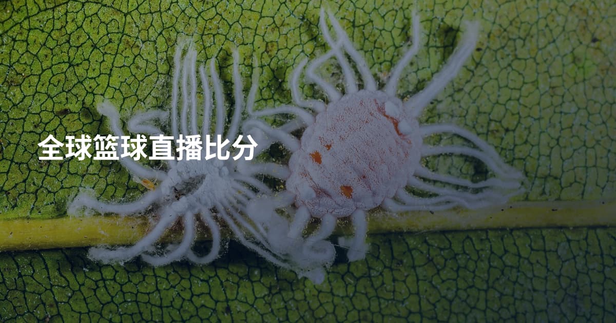 全球篮球直播比分