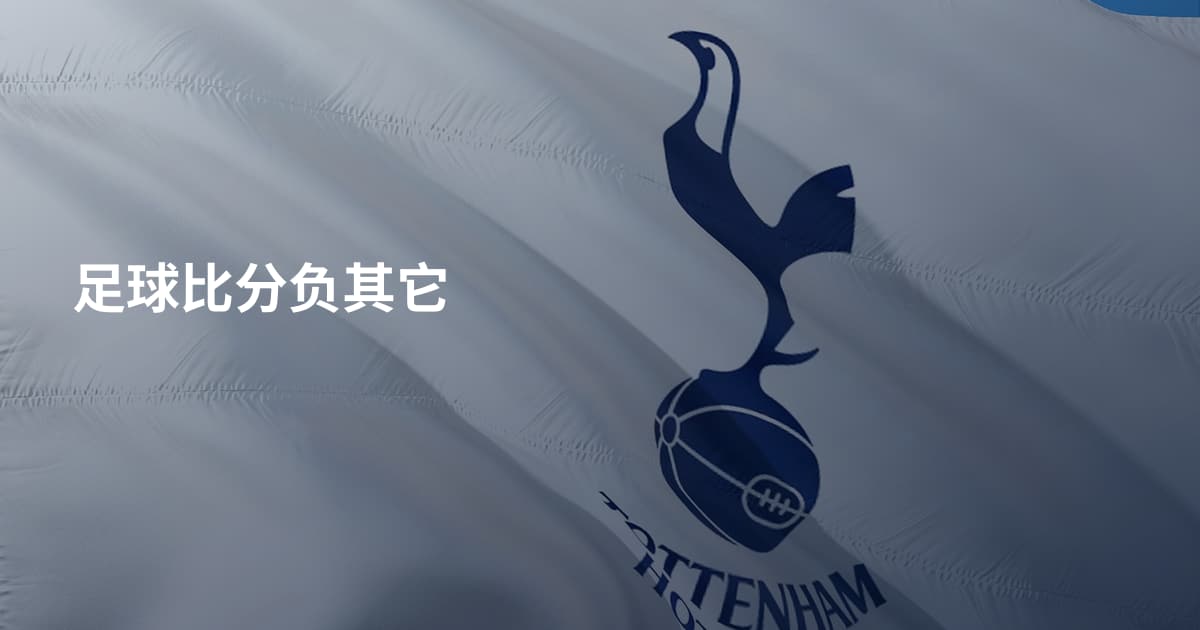 足球比分负其它