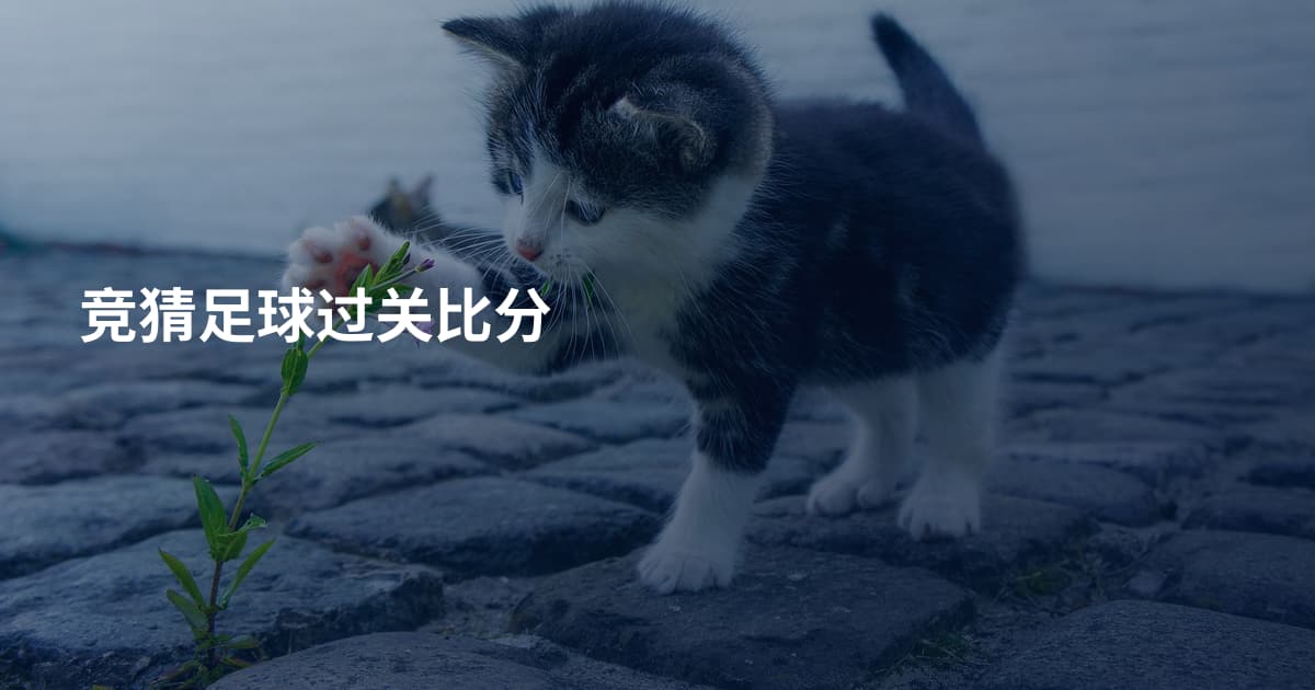 竞猜足球过关比分