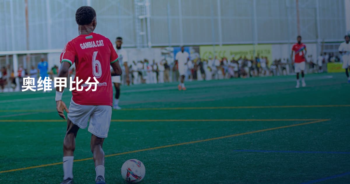 奥维甲比分