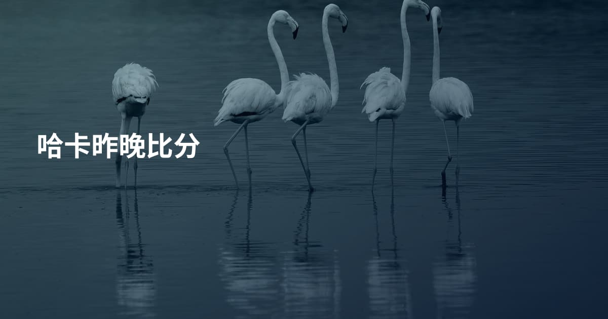 哈卡昨晚比分