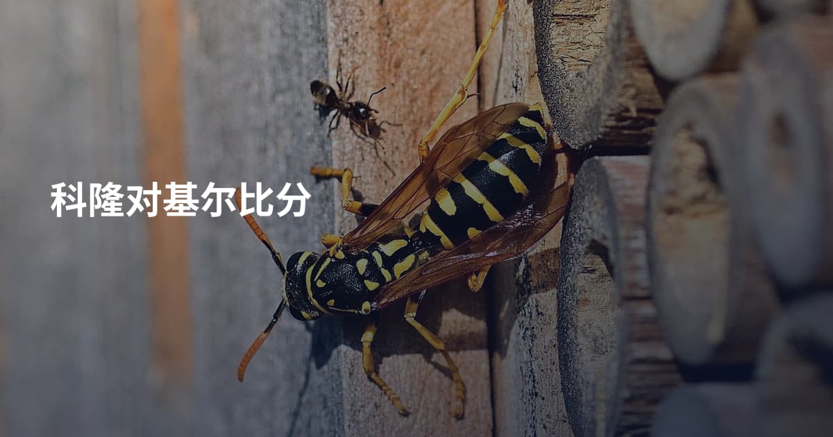 科隆对基尔比分