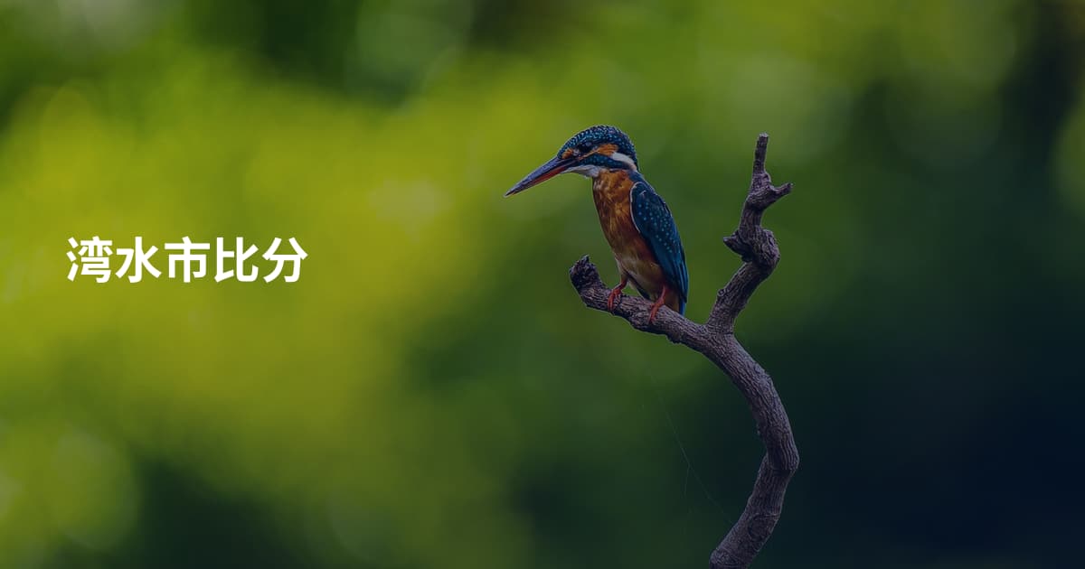 湾水市比分