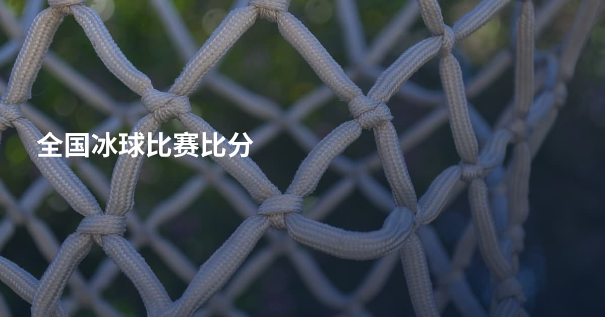 全国冰球比赛比分