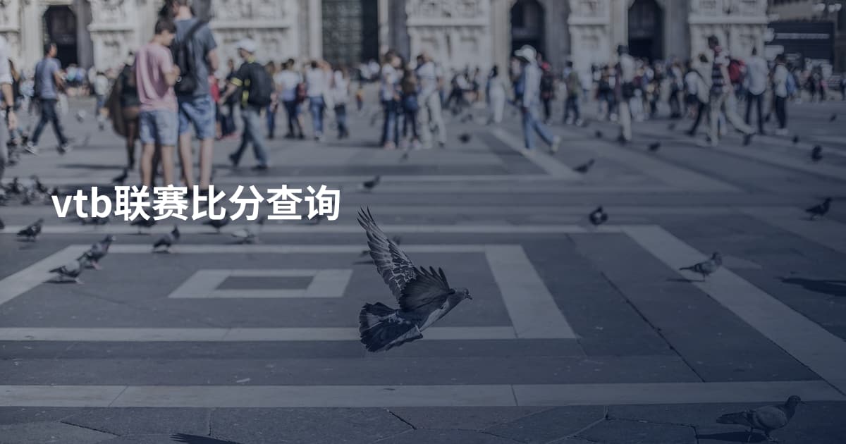 vtb联赛比分查询