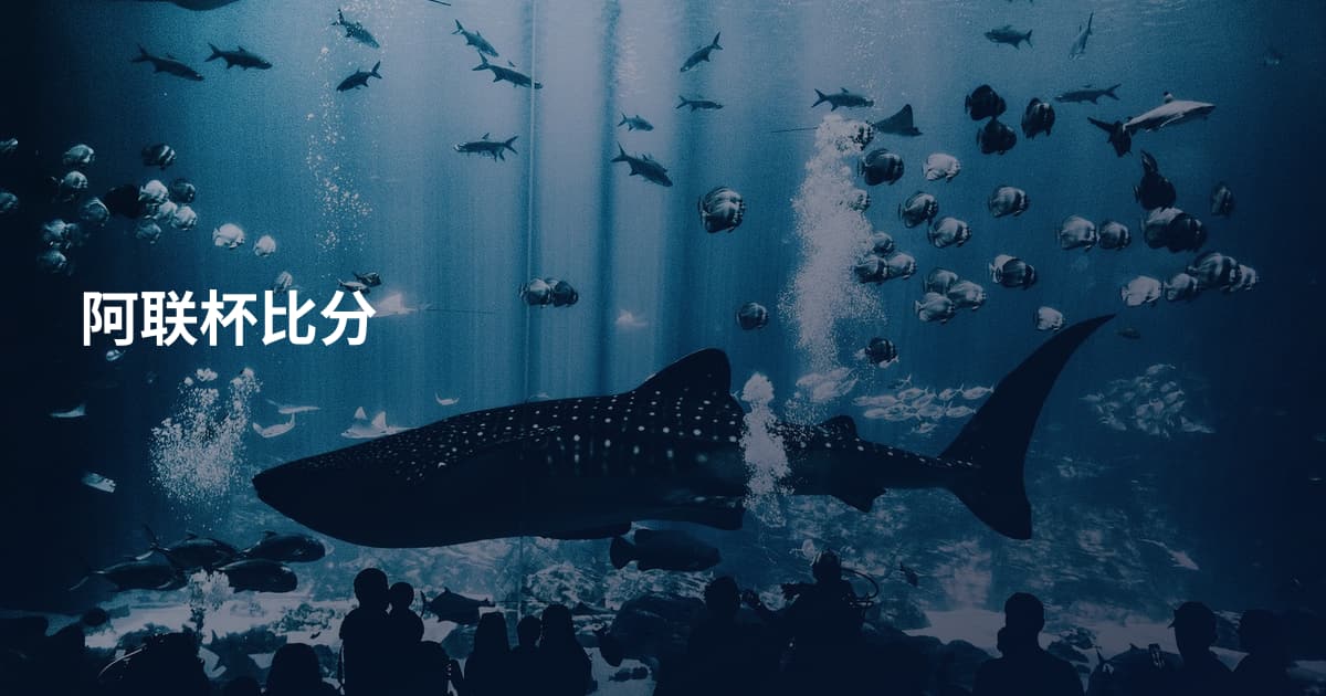 阿联杯比分