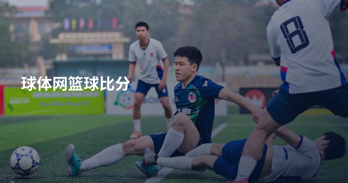 球体网篮球比分