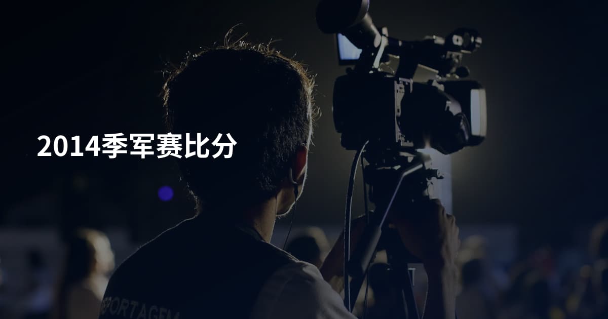 2014季军赛比分