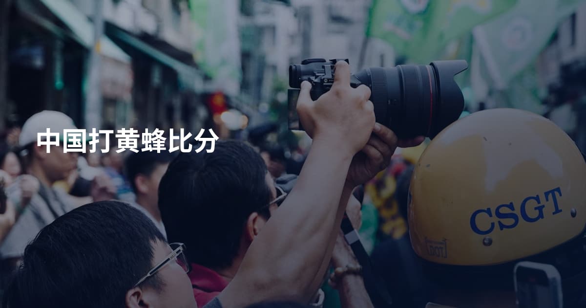 中国打黄蜂比分