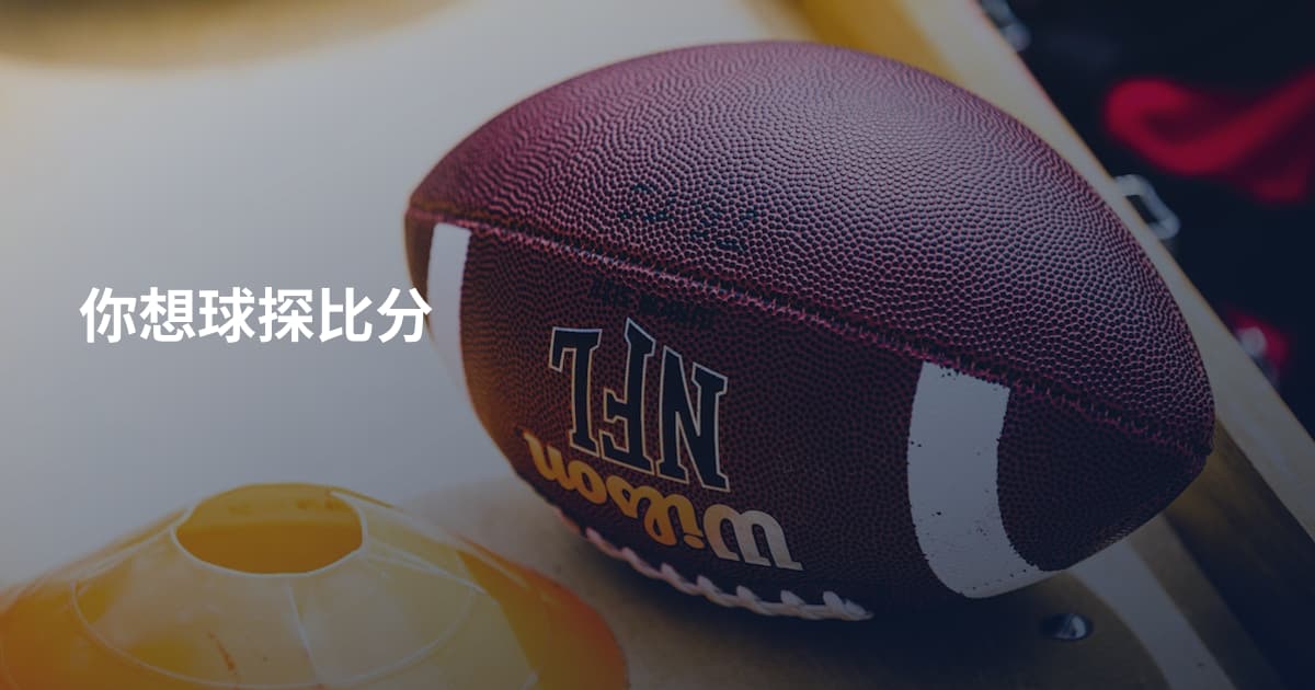 你想球探比分