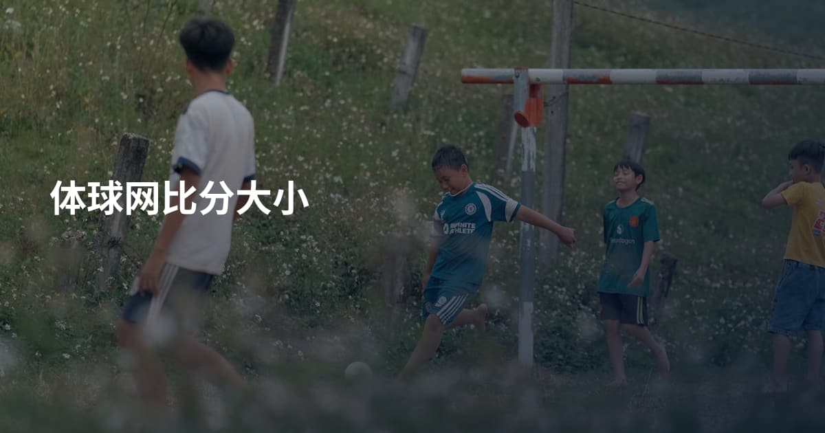 体球网比分大小