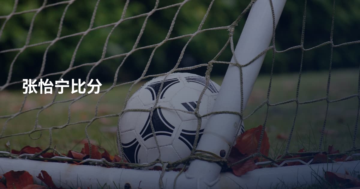 张怡宁比分
