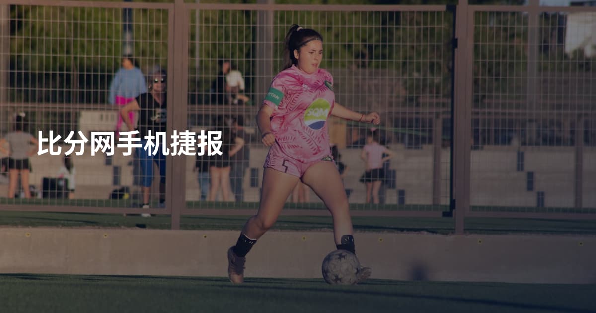 比分网手机捷报
