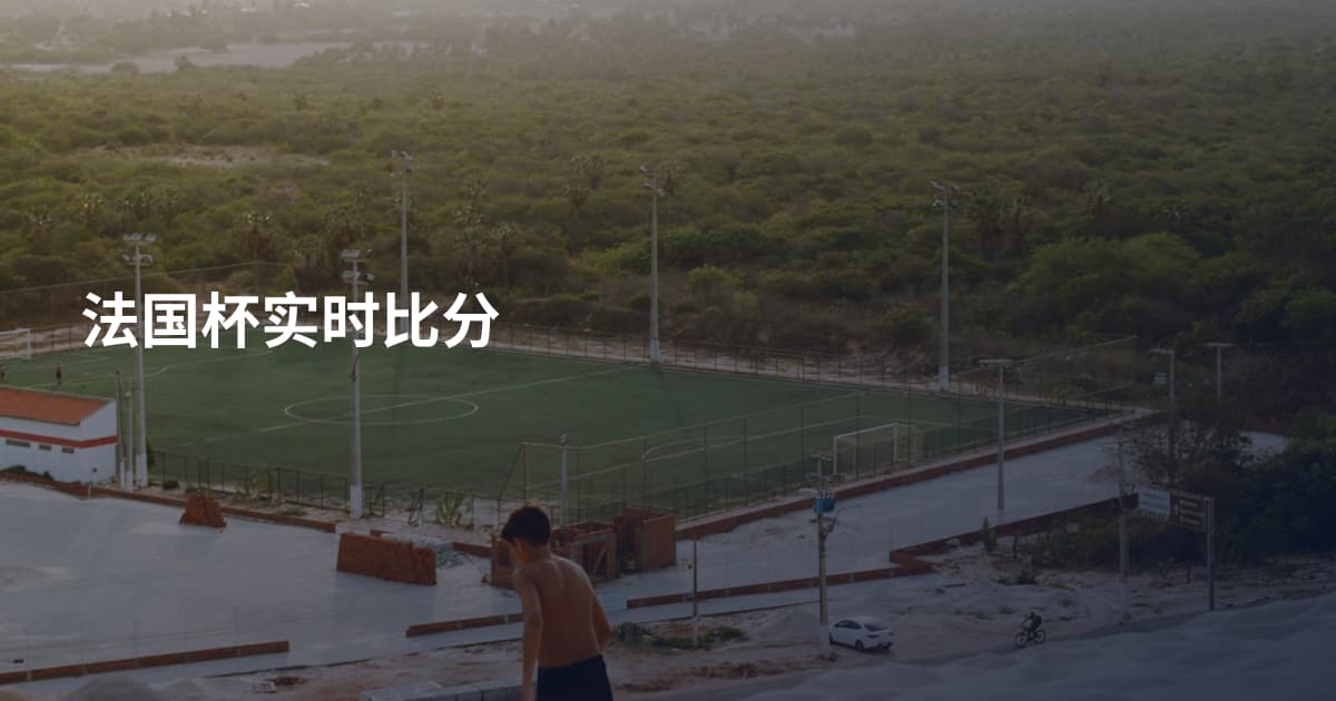 法国杯实时比分