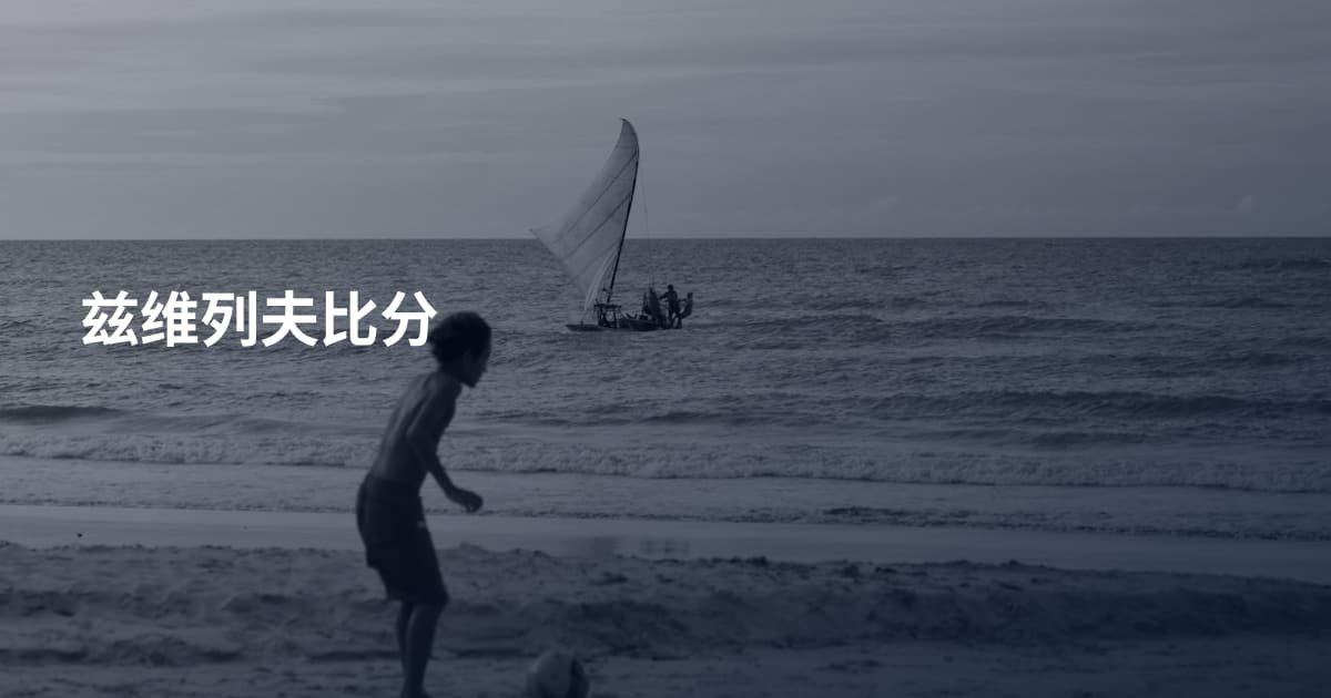 兹维列夫比分