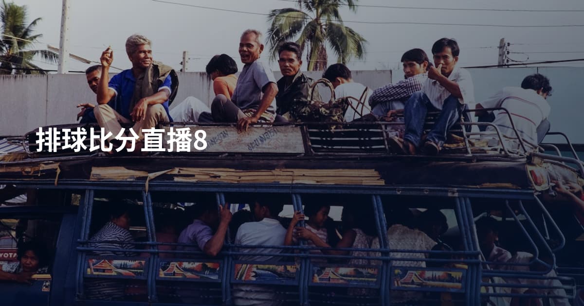 排球比分直播8