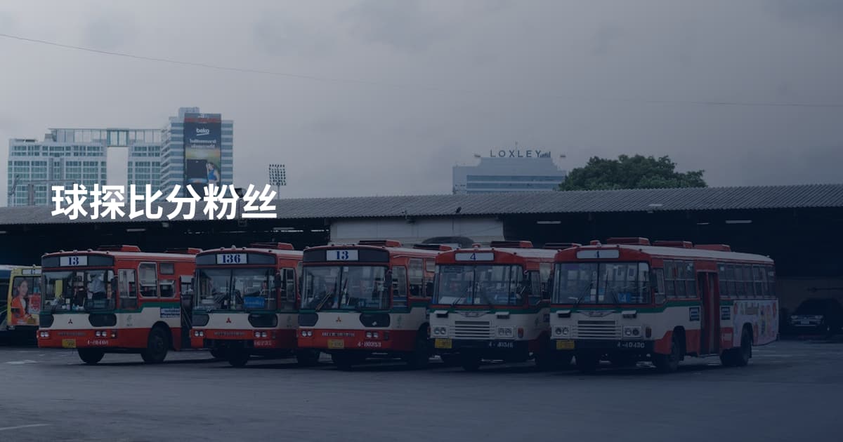 球探比分粉丝