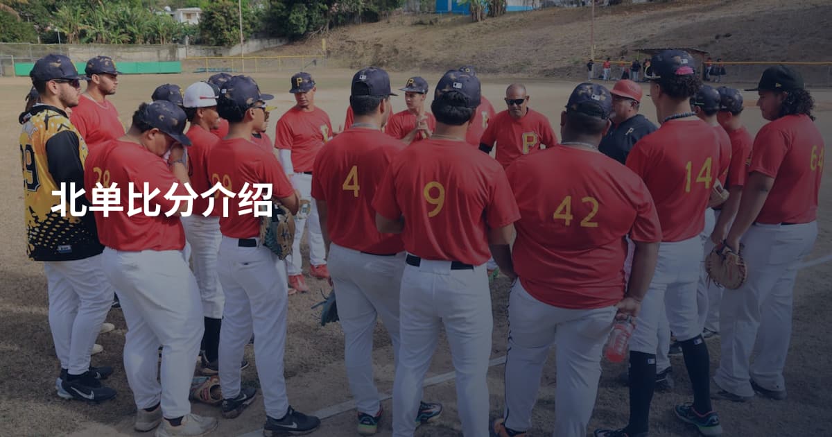 北单比分介绍