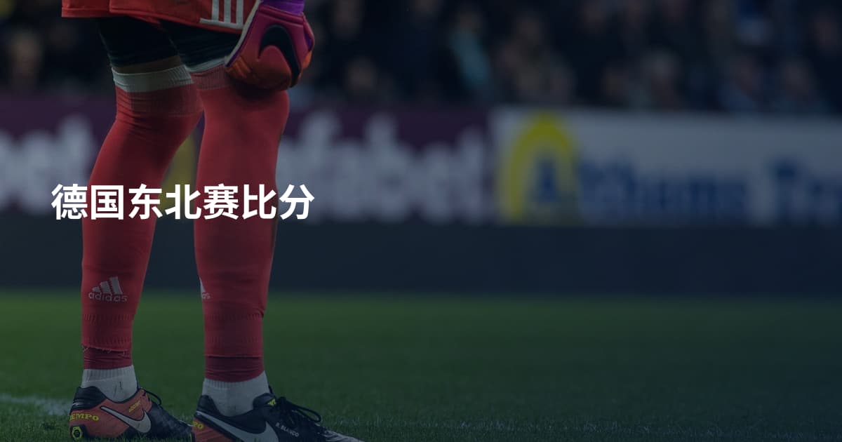 德国东北赛比分