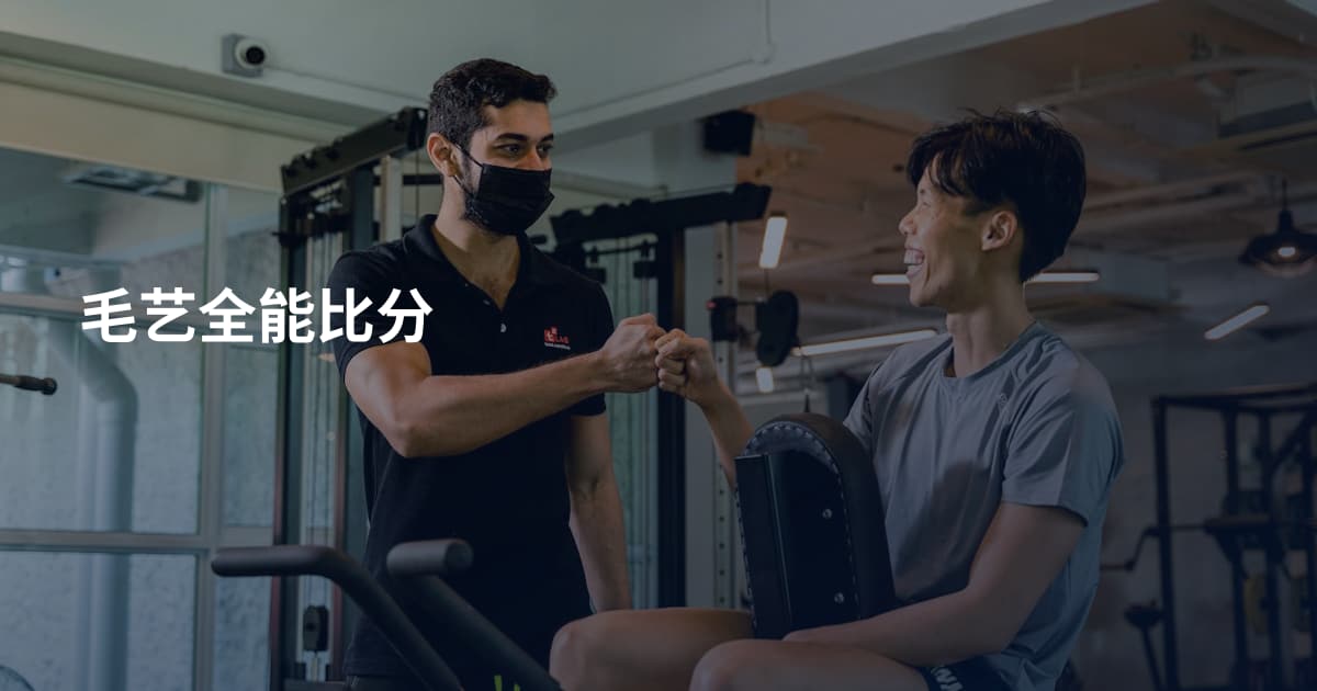 毛艺全能比分