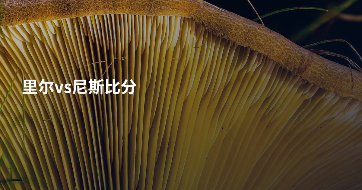 里尔vs尼斯比分
