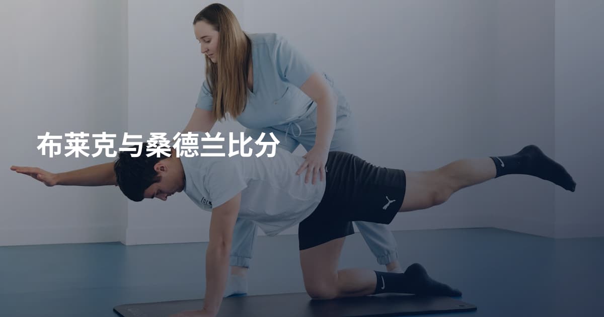 布莱克与桑德兰比分