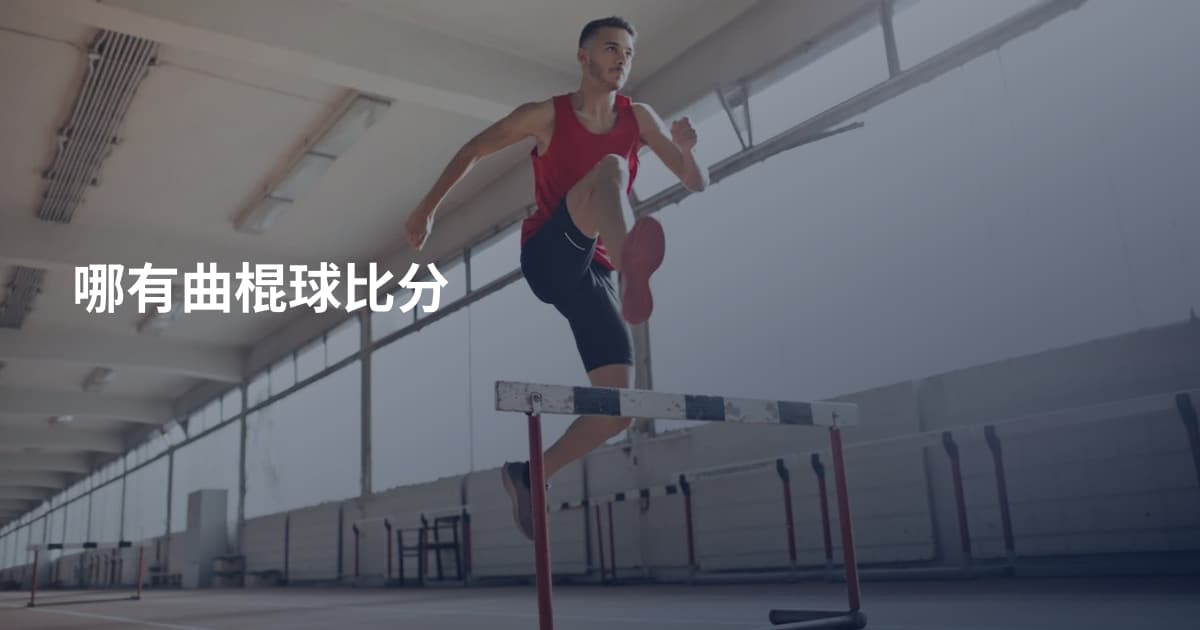 哪有曲棍球比分