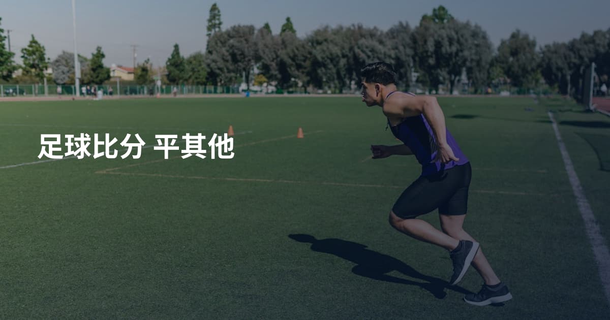 足球比分 平其他