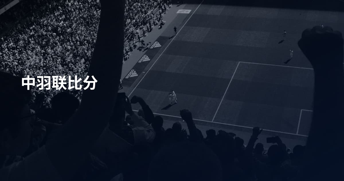 中羽联比分