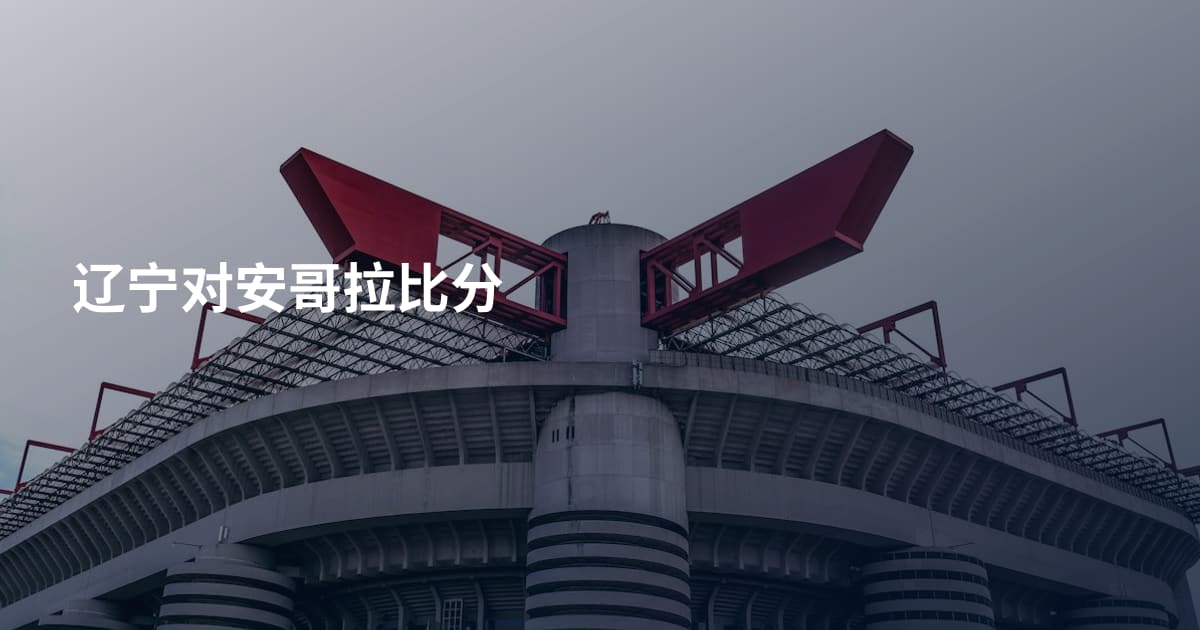 辽宁对安哥拉比分