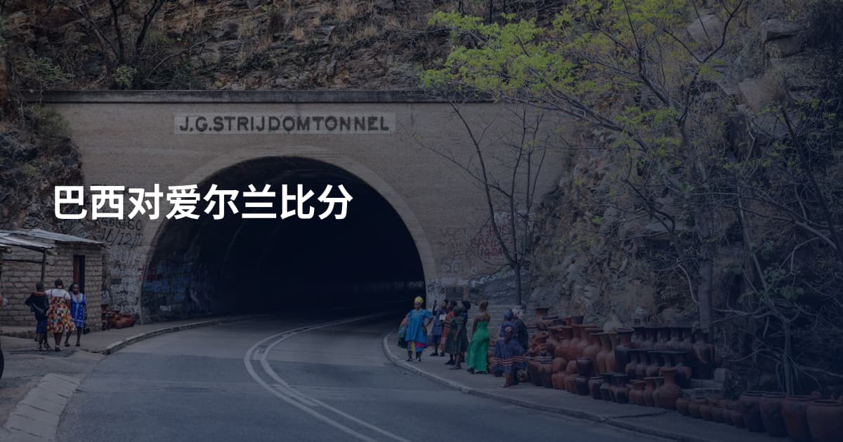 巴西对爱尔兰比分