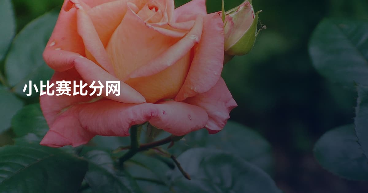 小比赛比分网