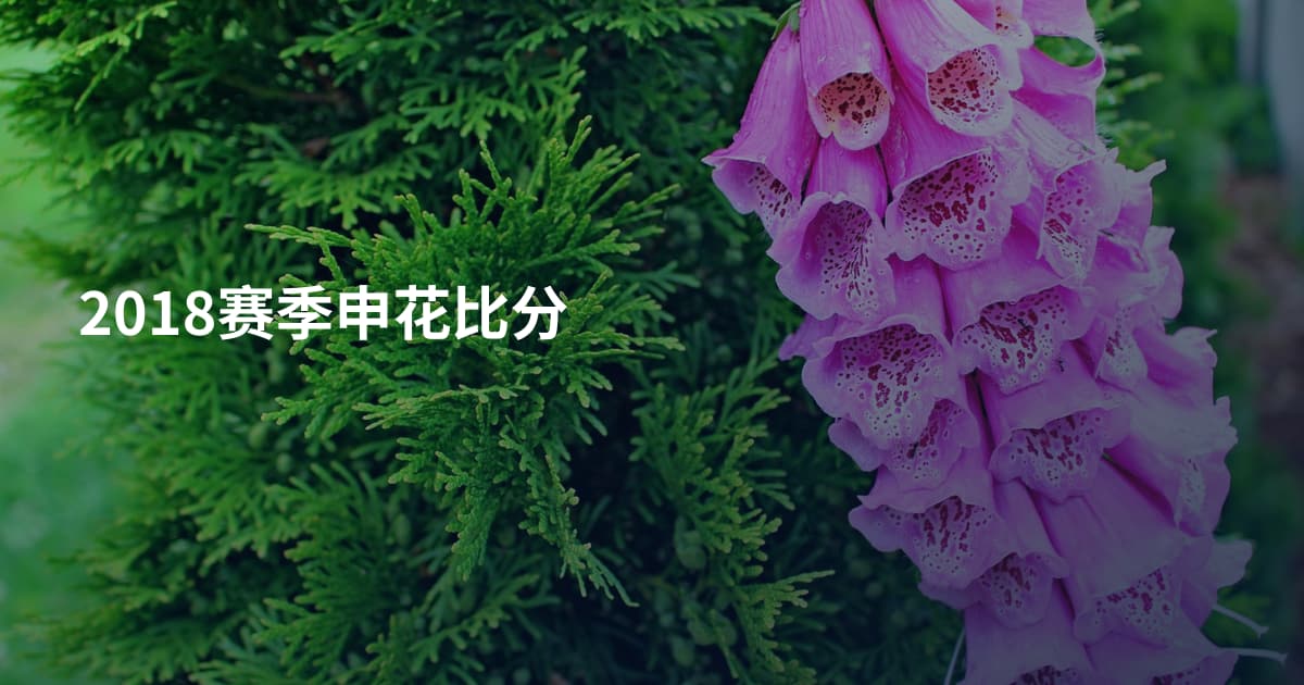 2018赛季申花比分
