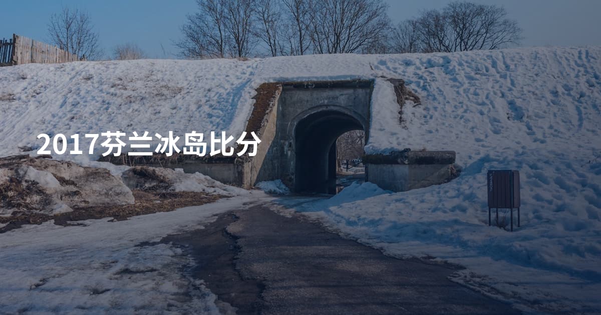 2017芬兰冰岛比分