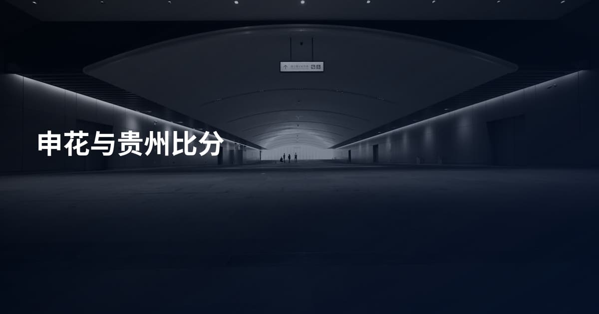 申花与贵州比分