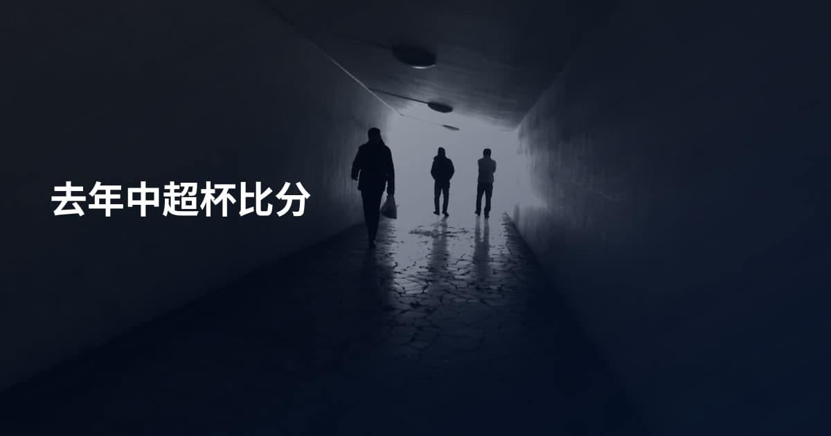 去年中超杯比分
