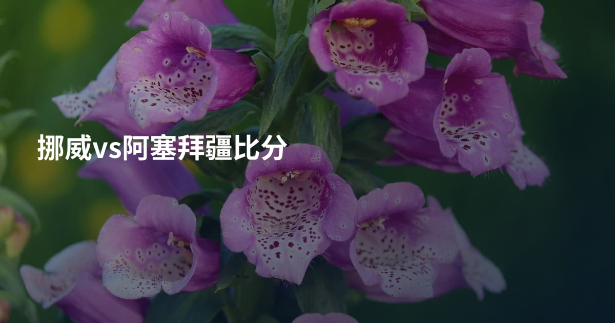 挪威vs阿塞拜疆比分