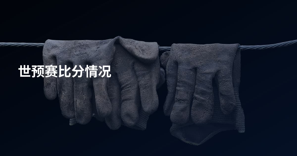 世预赛比分情况
