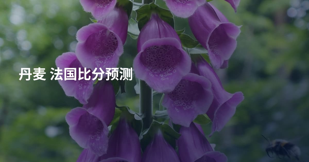 丹麦 法国比分预测