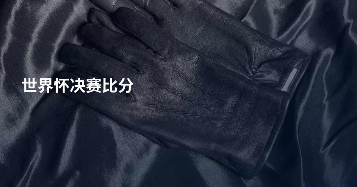 世界怀决赛比分