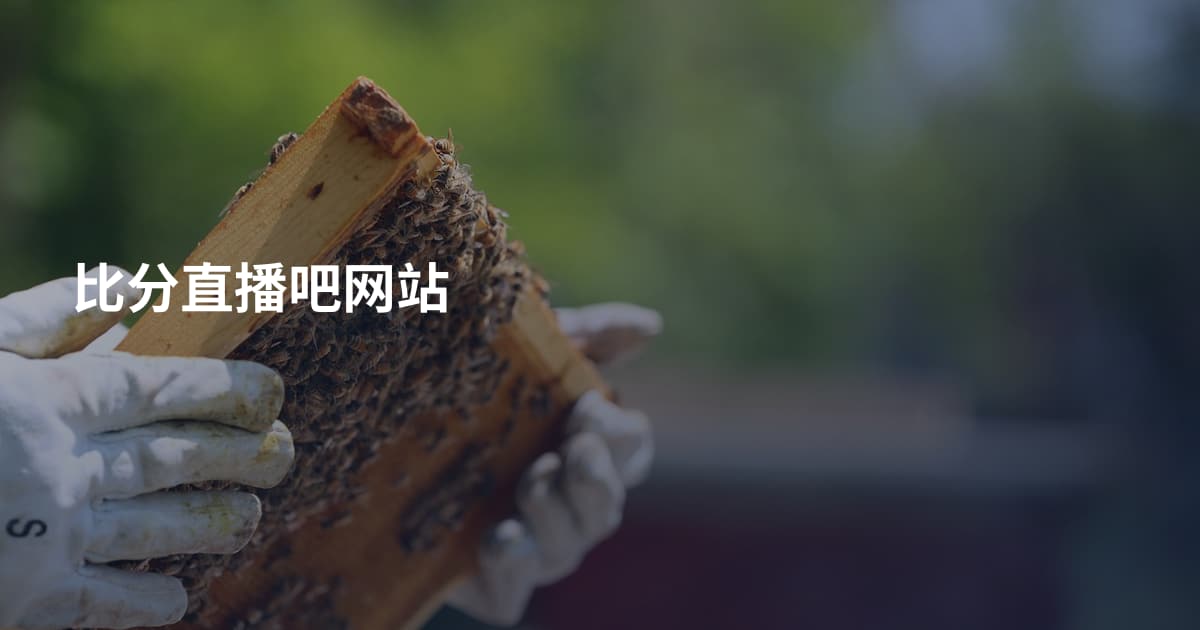 比分直播吧网站