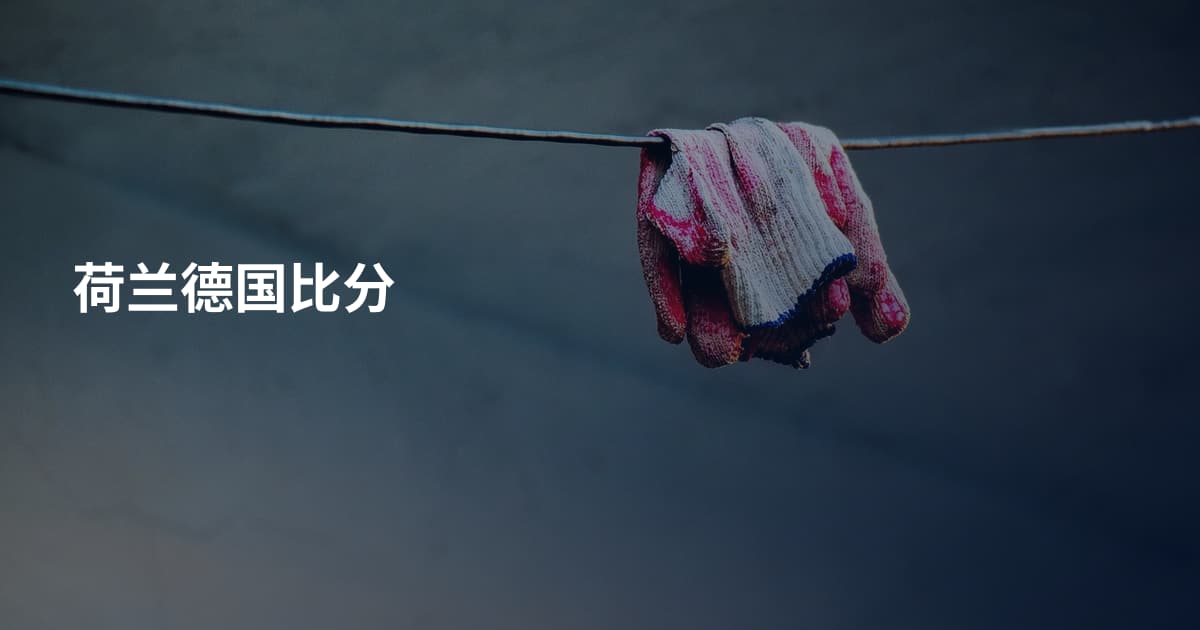 荷兰德国比分