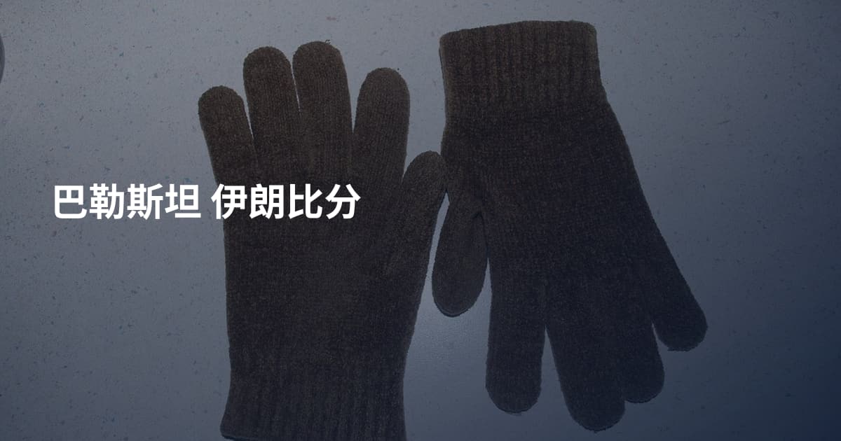 巴勒斯坦 伊朗比分