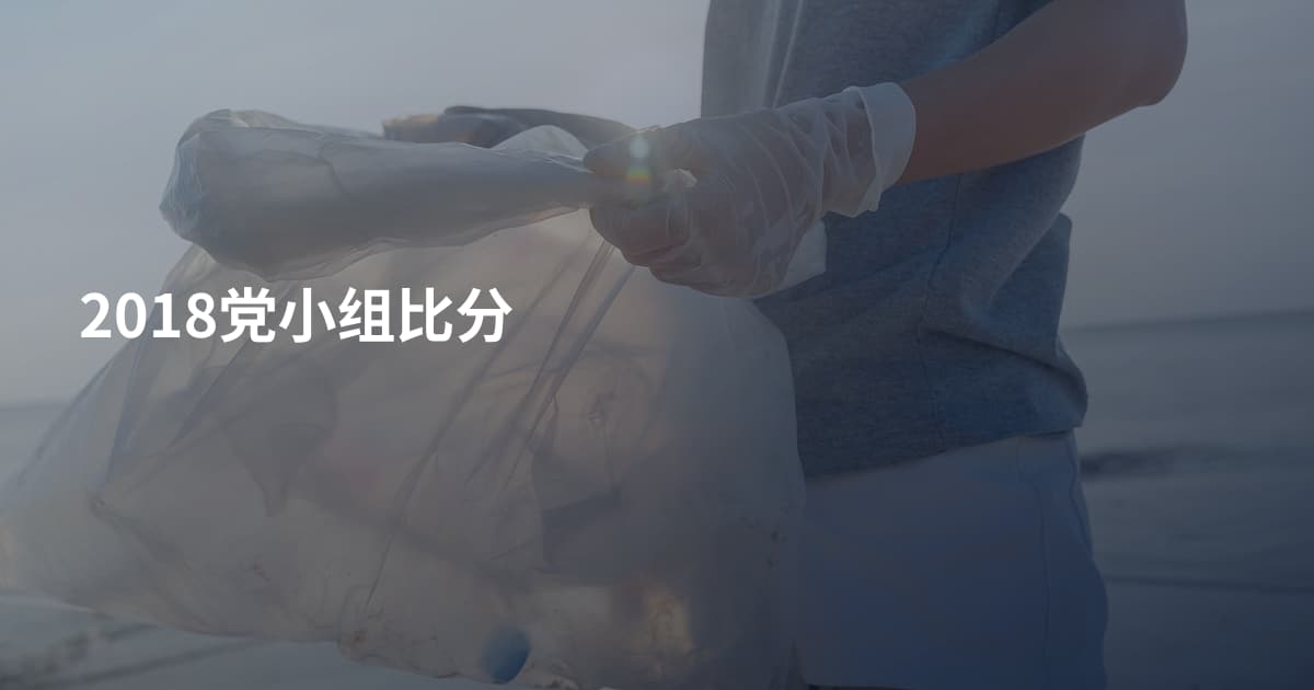 2018党小组比分