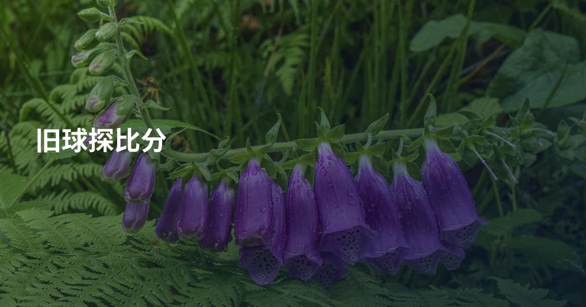 旧球探比分