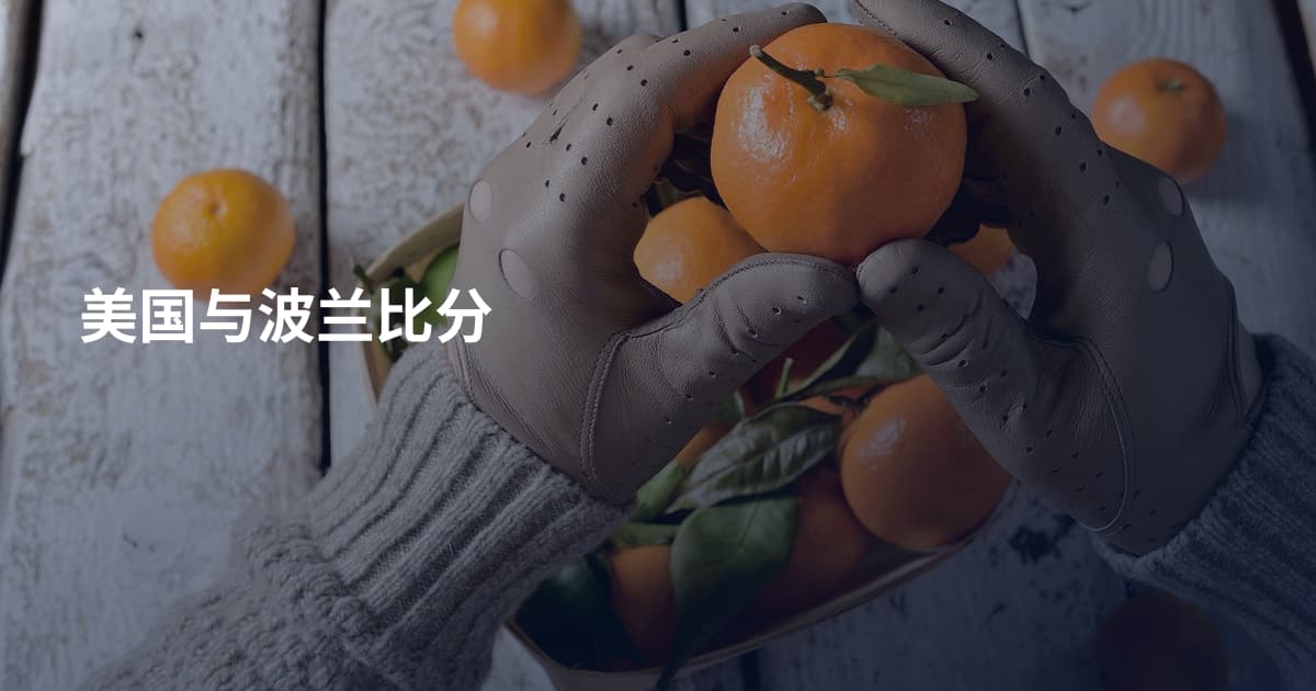 美国与波兰比分