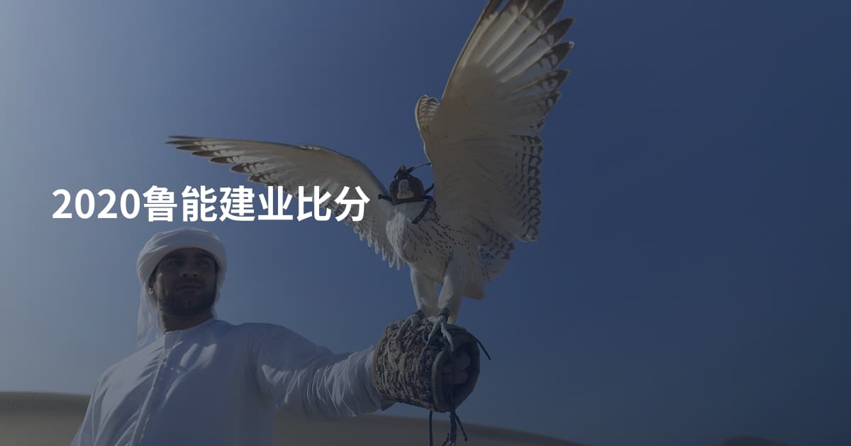 2020鲁能建业比分